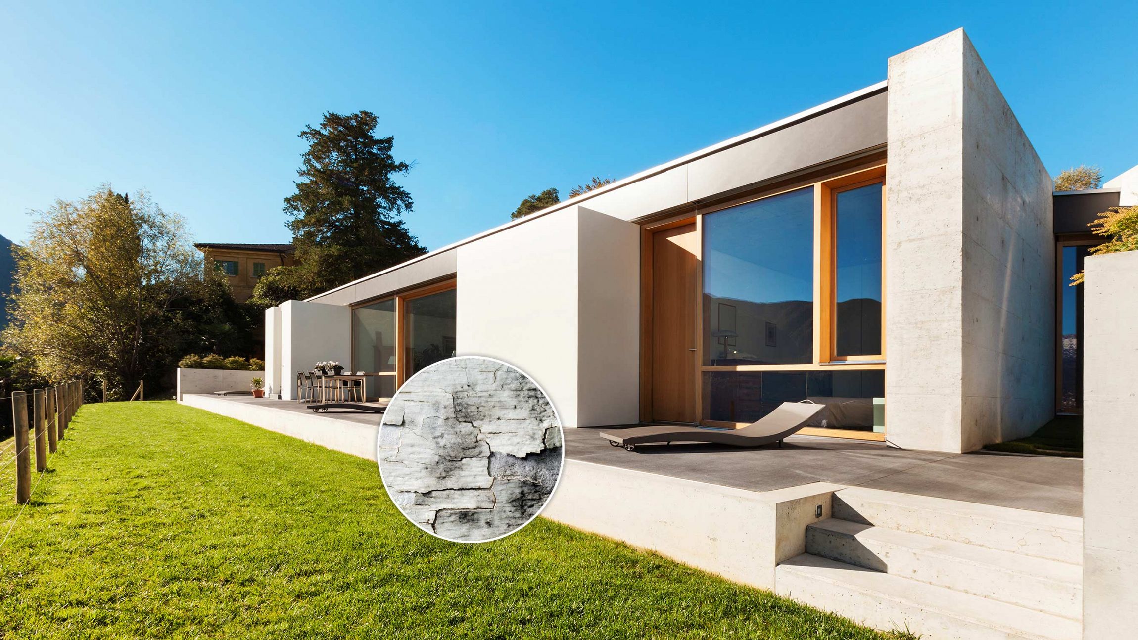 bausachverstaendiger_muenchen_gutachter_immobilienbewertung_schwamm_faeulepilze