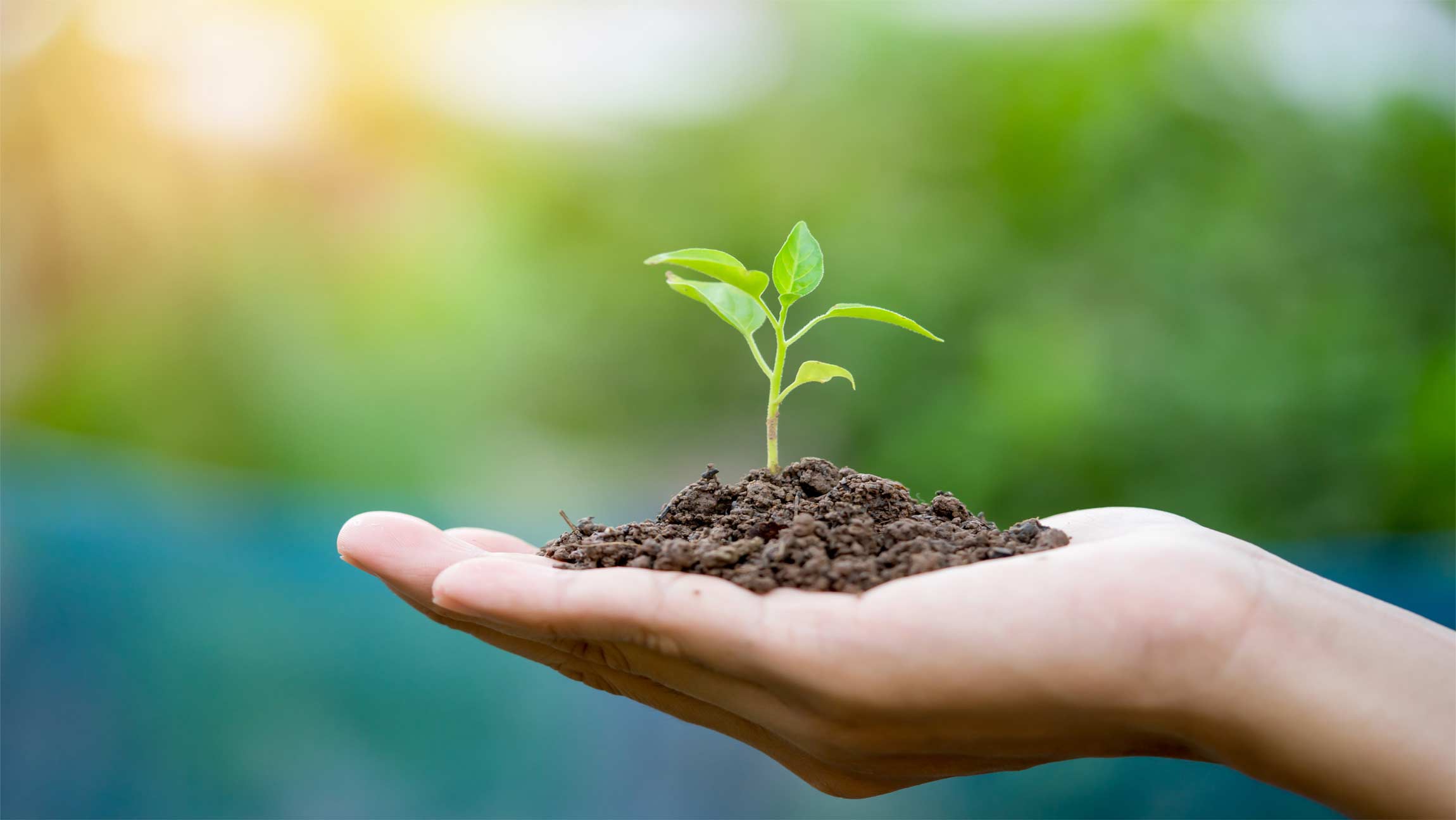 bausachverstaendiger_muenchen_gutachter_wachstum